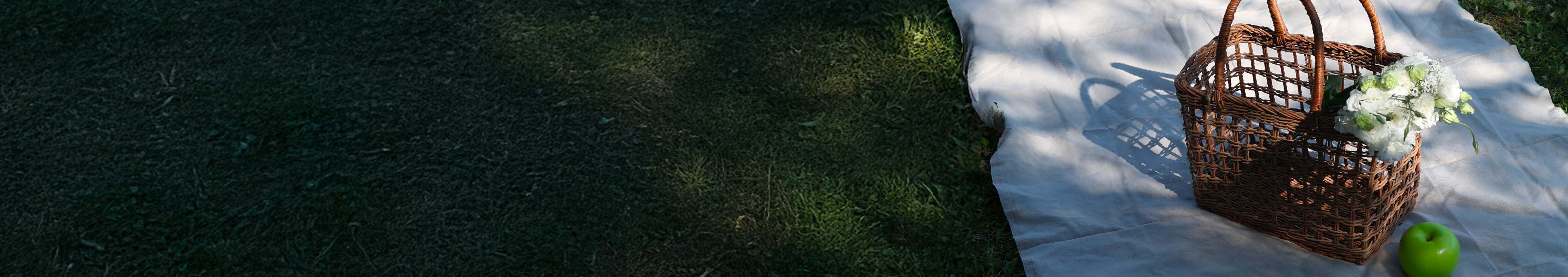 Nos routines In & Out