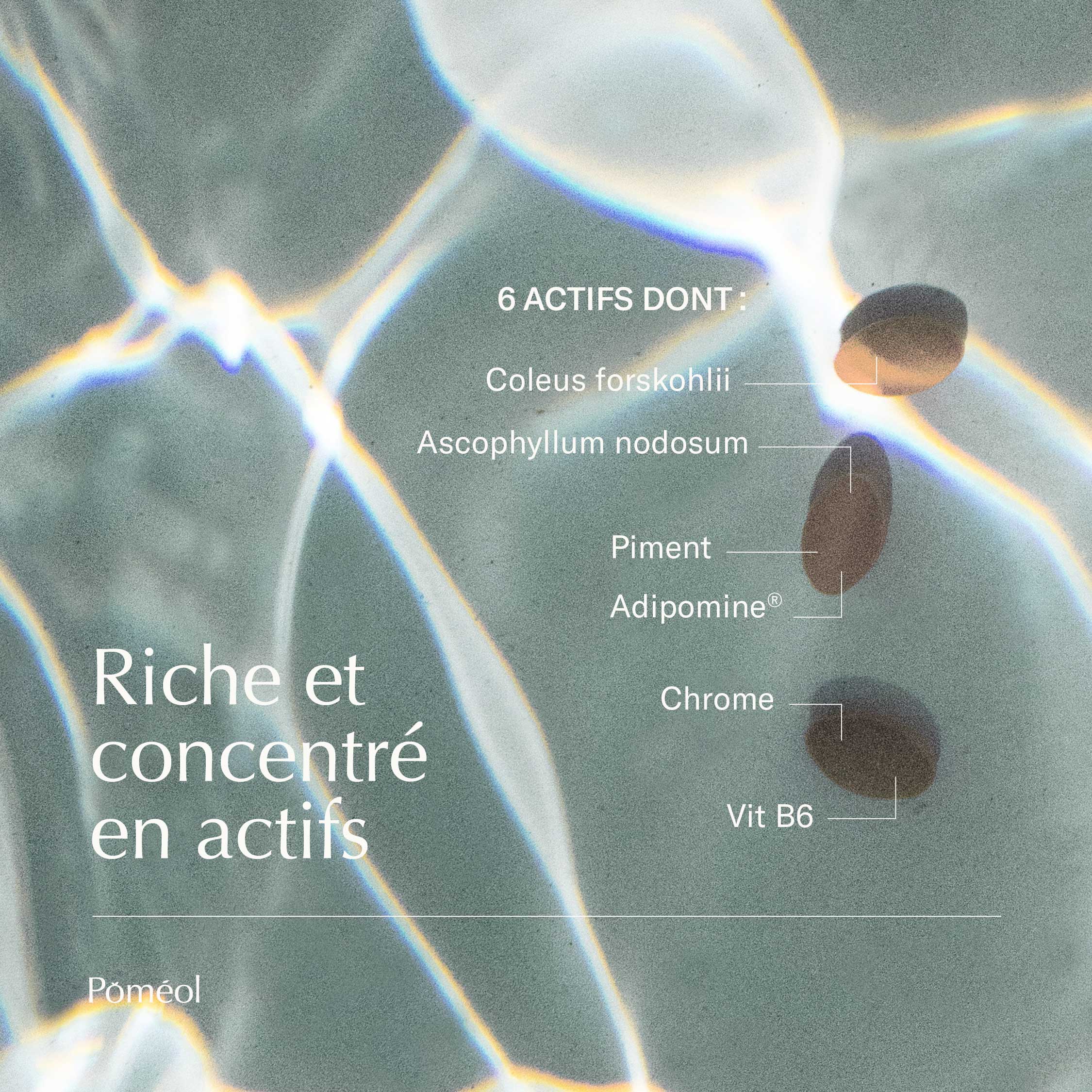 Complément alimentaire minceur - Raffermissant