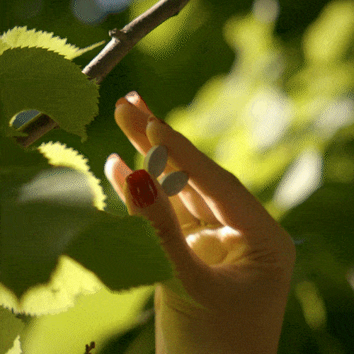 Cure croissance et anti-chute cheveux