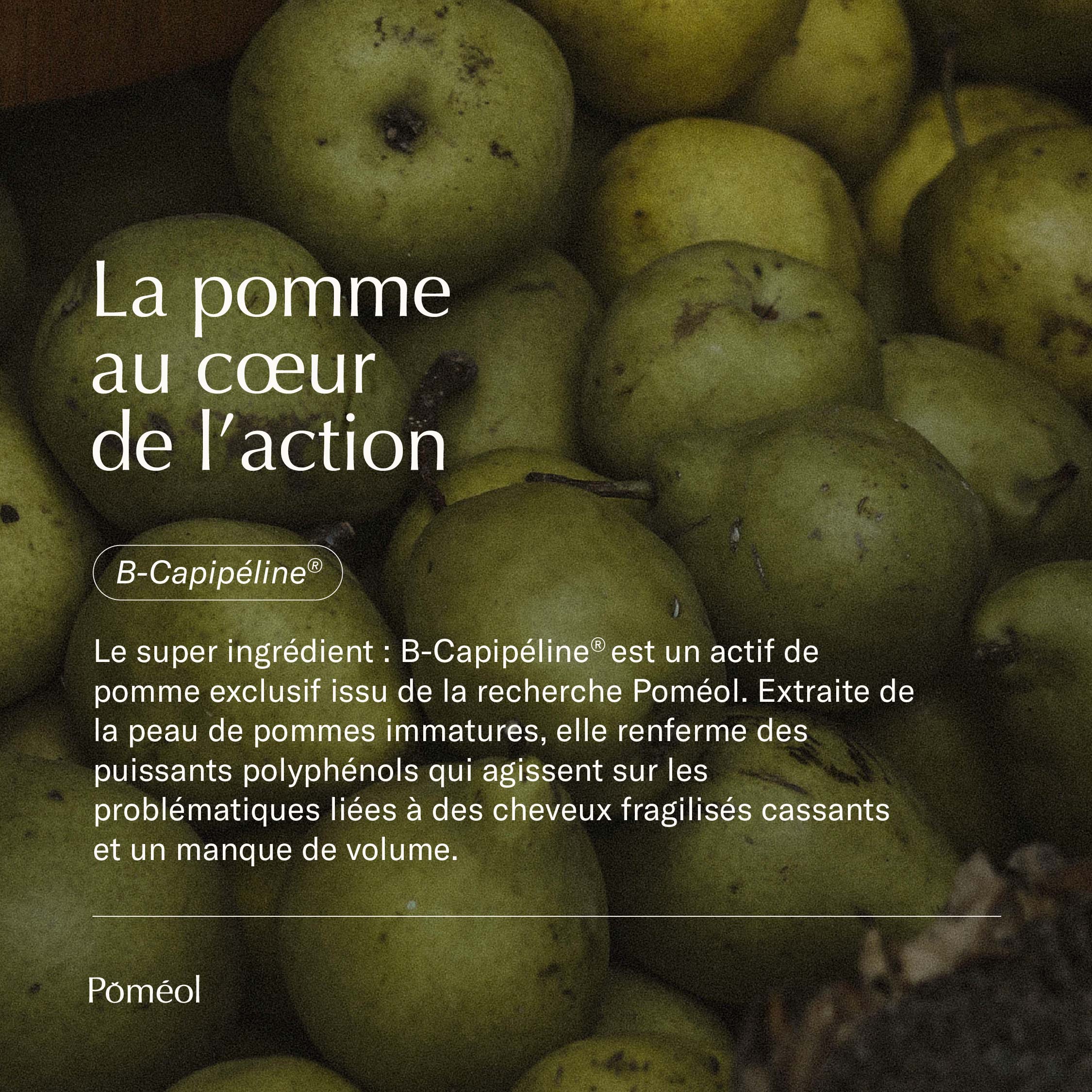 Complément Alimentaire - Cure Cheveux Fins et Cassants - 2 mois