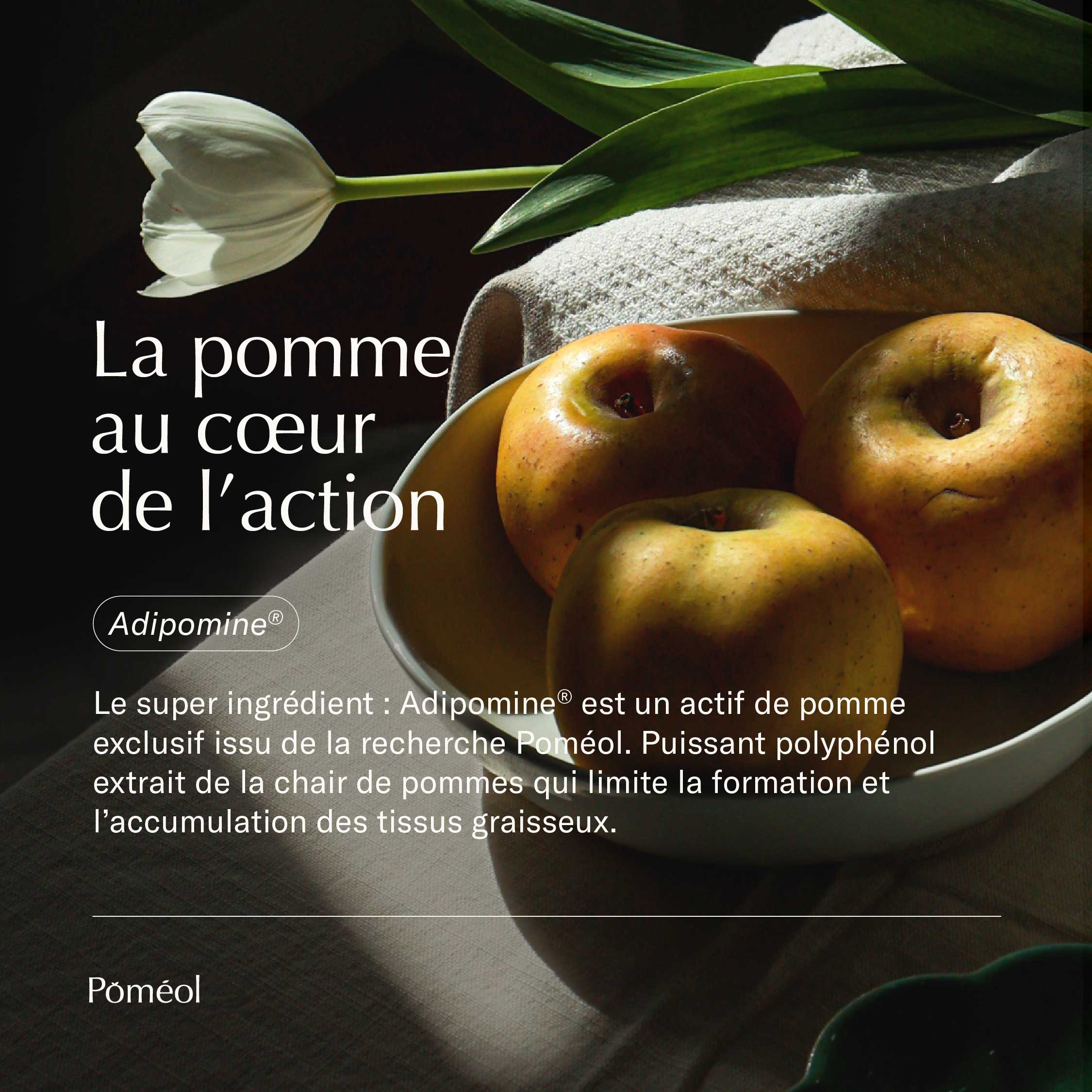 Cure programme brûleur de graisses intense lot de 2 avec gelée minceur cellulite graisseuse