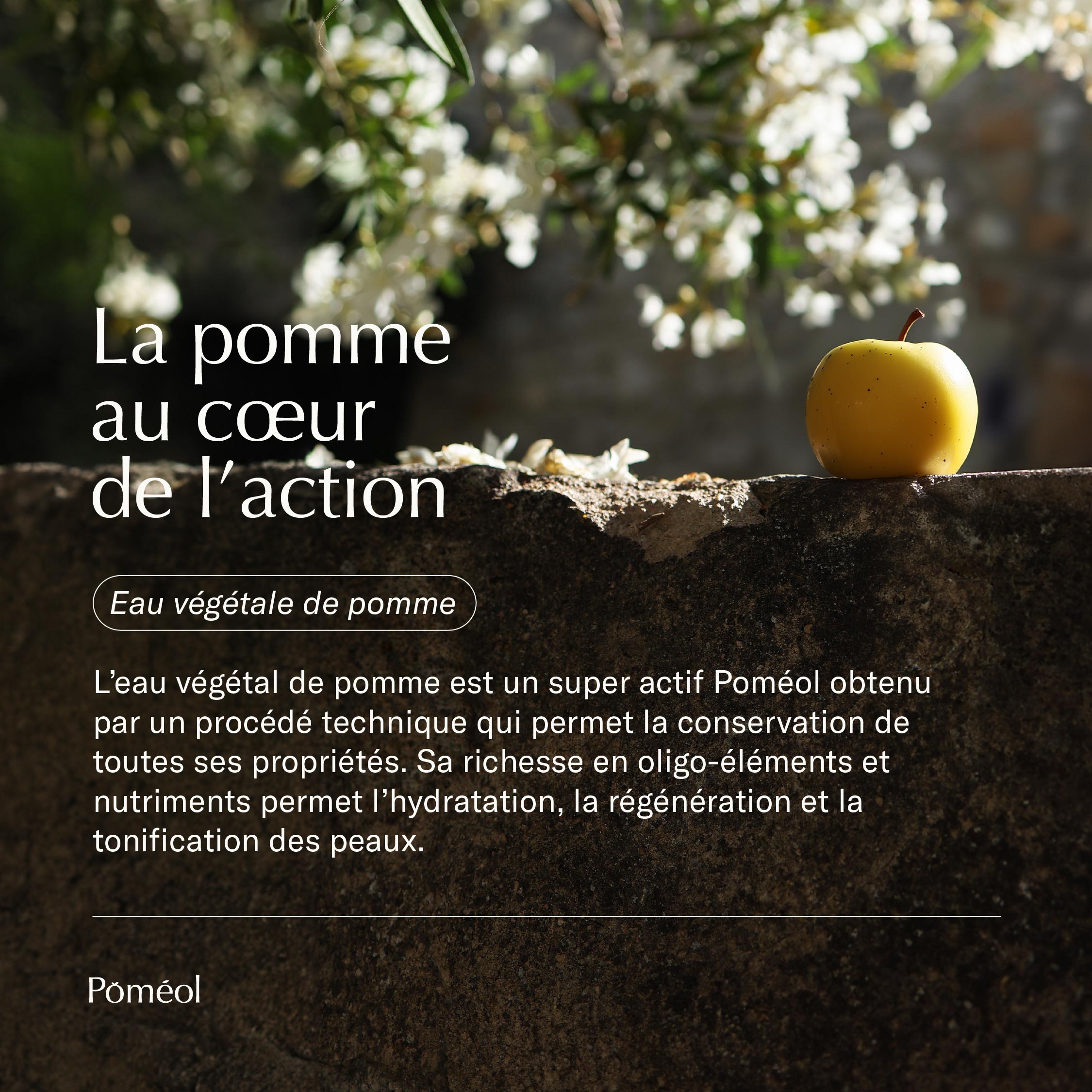 Duo Gommage Exfoliant : Visage & Corps