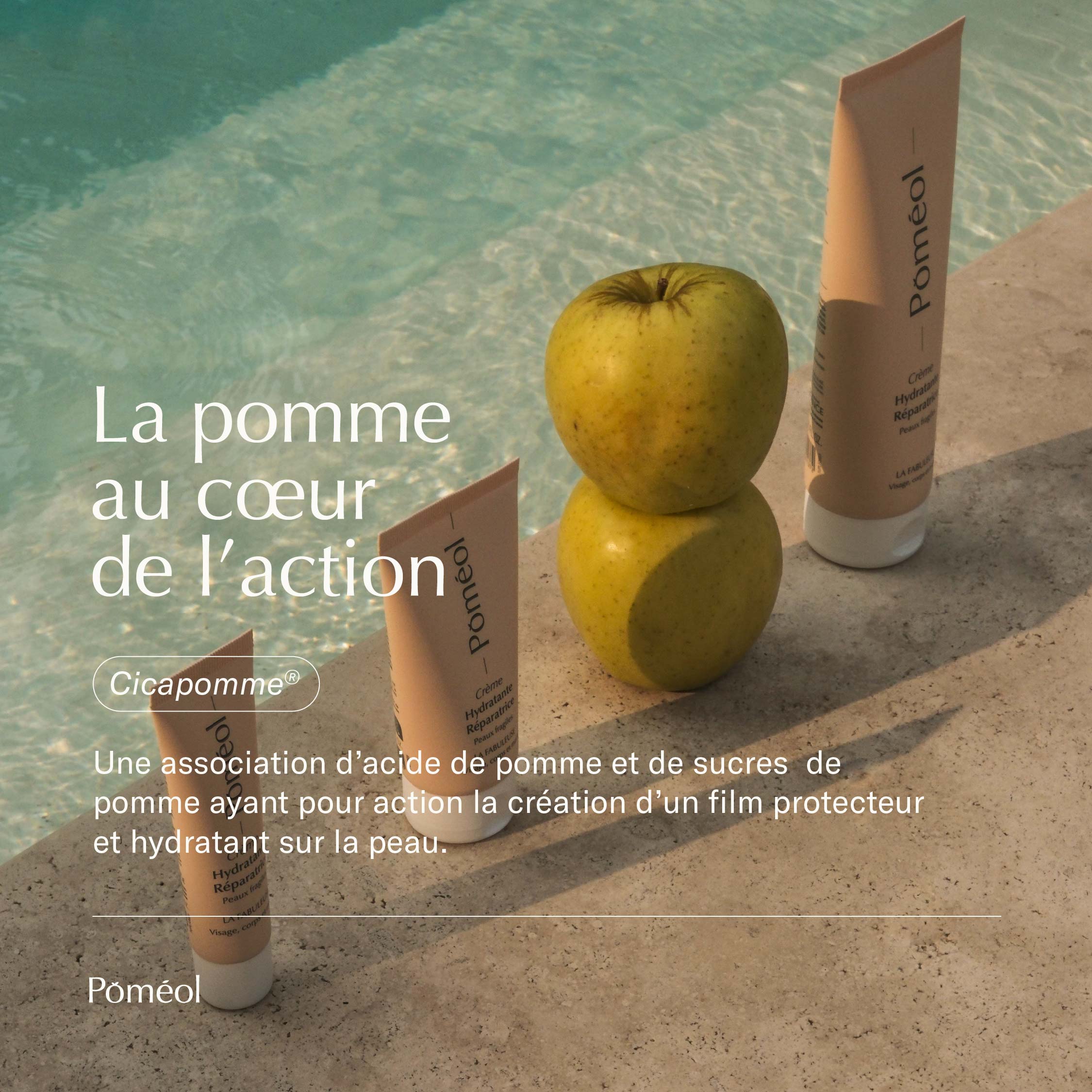 Crème hydratante corps et visage