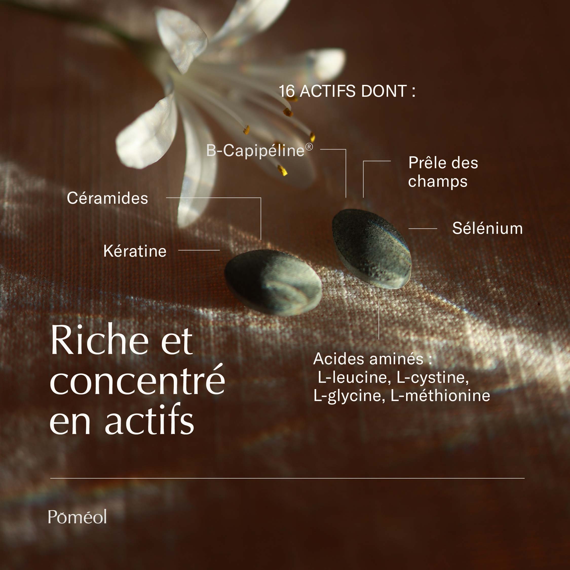 Actifs présents dans le complément alimentaire