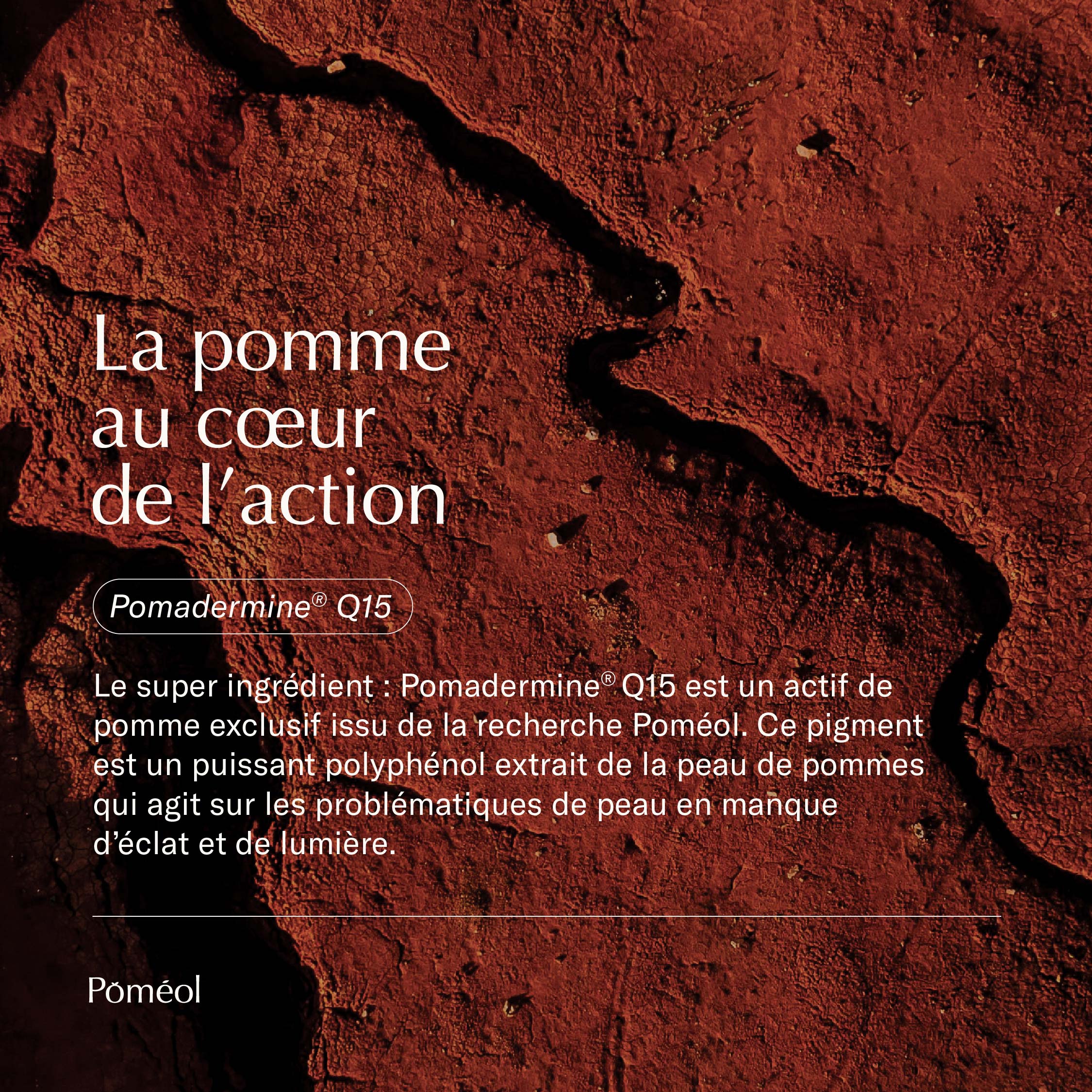 Complément alimentaire Préparateur Solaire 2-en-1