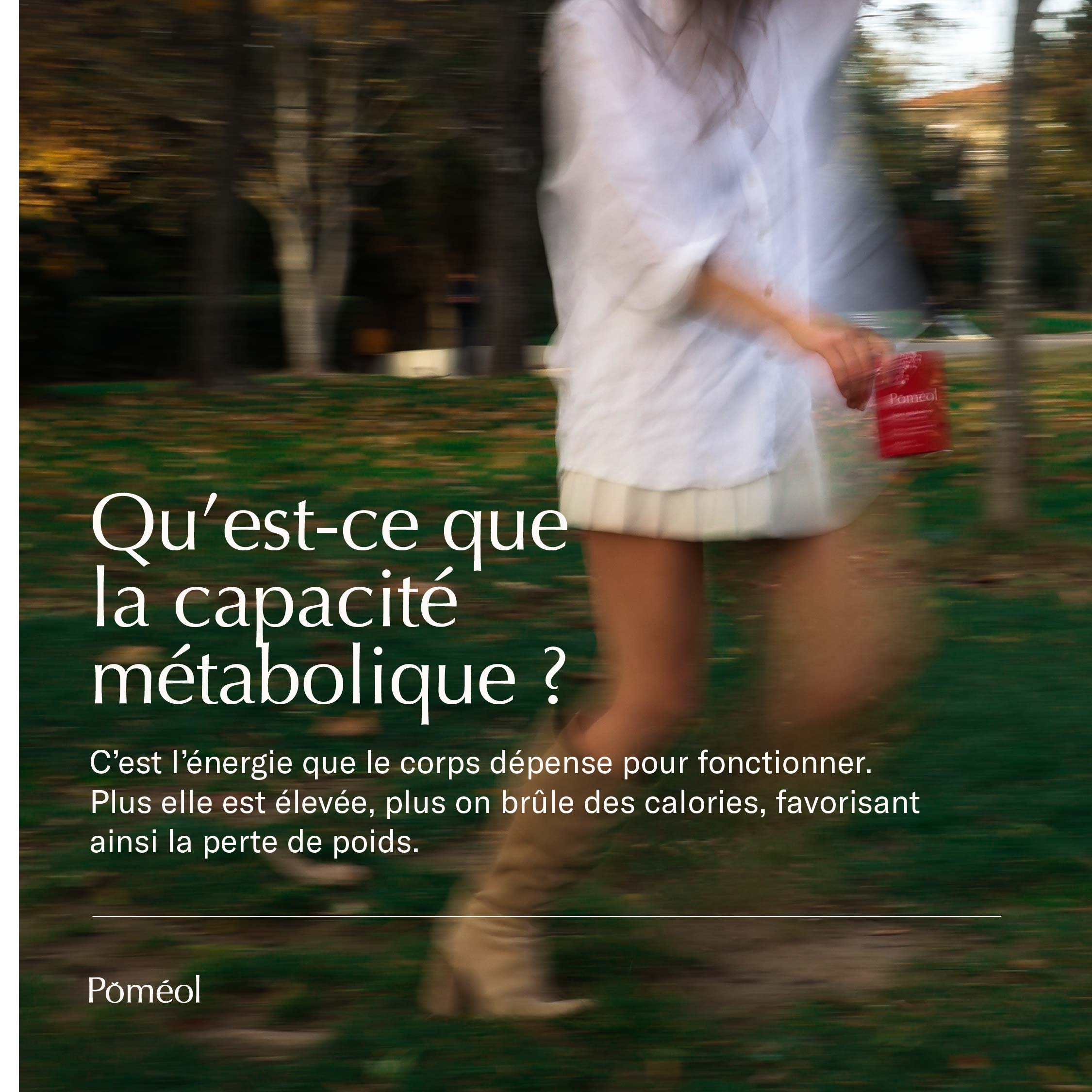 Gelée Minceur & Super Métabolisme