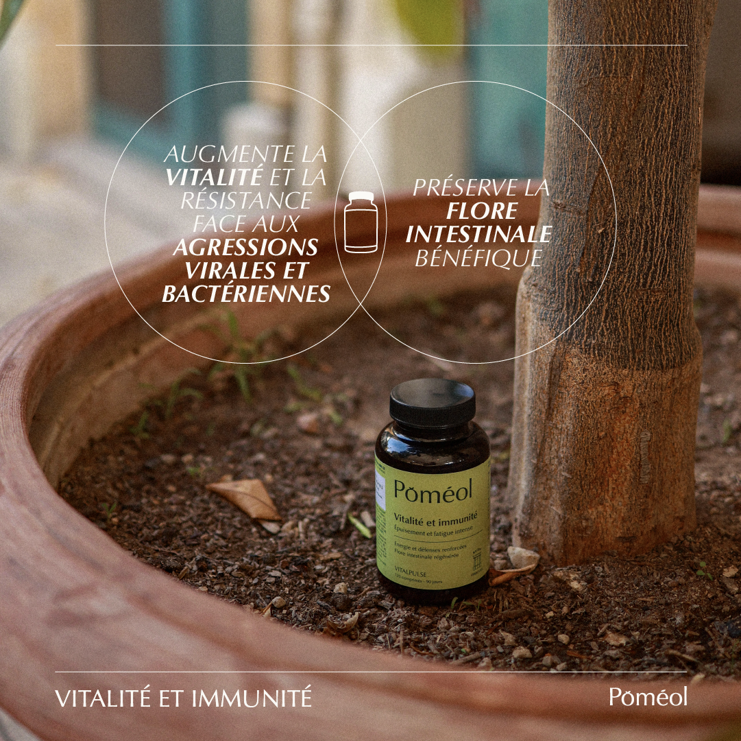 Complément alimentaire immunité