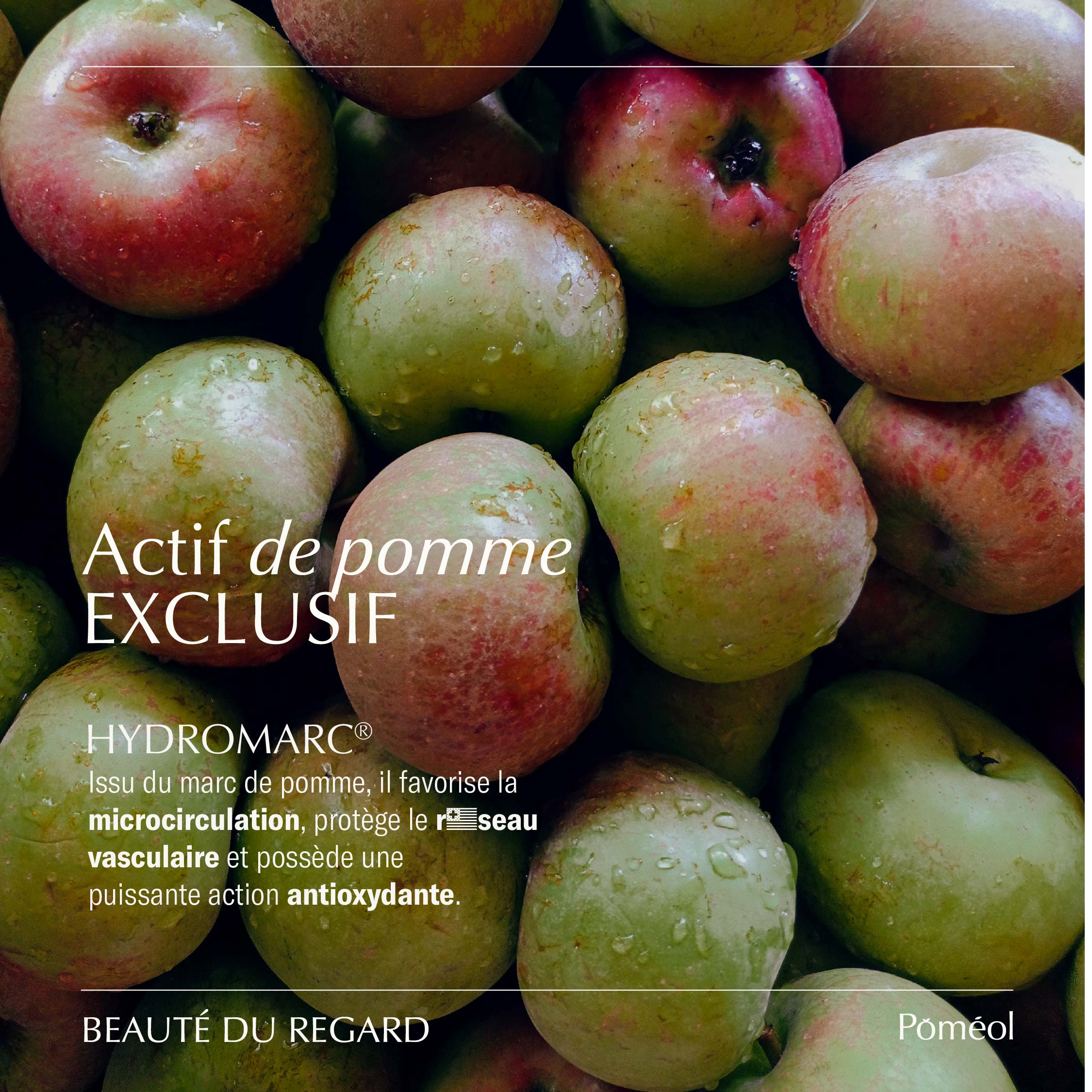 Eye contour food supplement