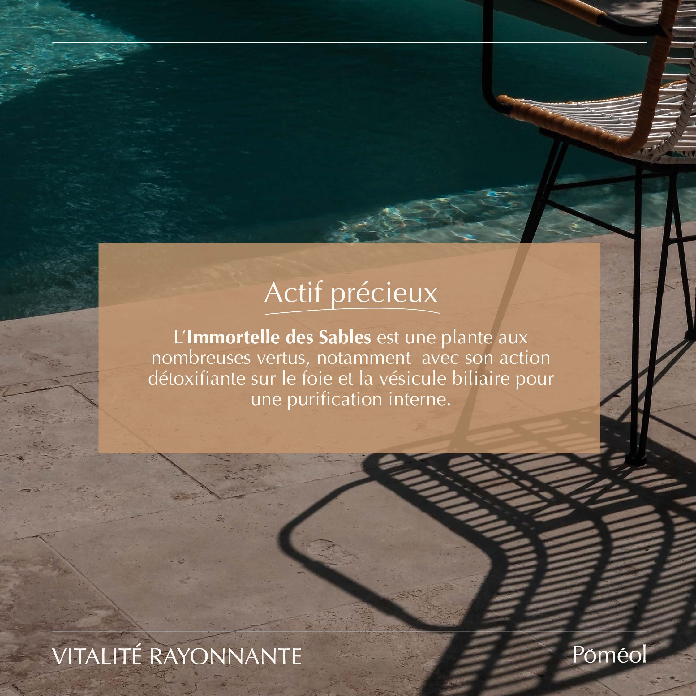 Complément alimentaire éclat du teint