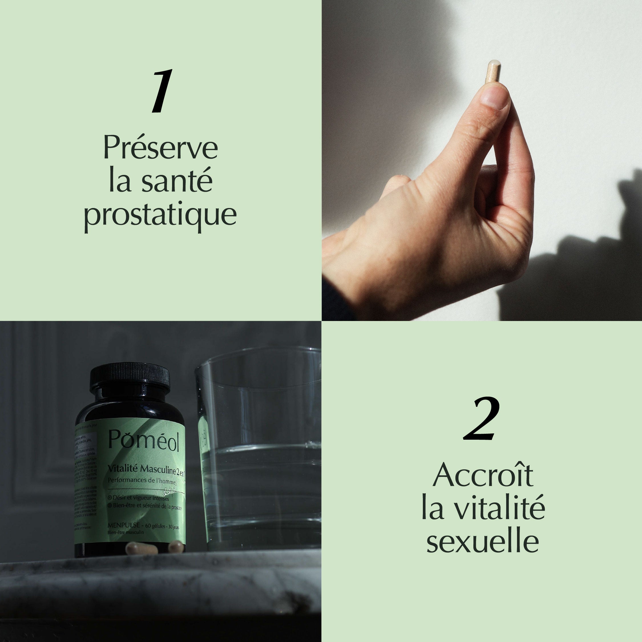 Préserve la santé prostatique et accroît la vitalité sexuelle