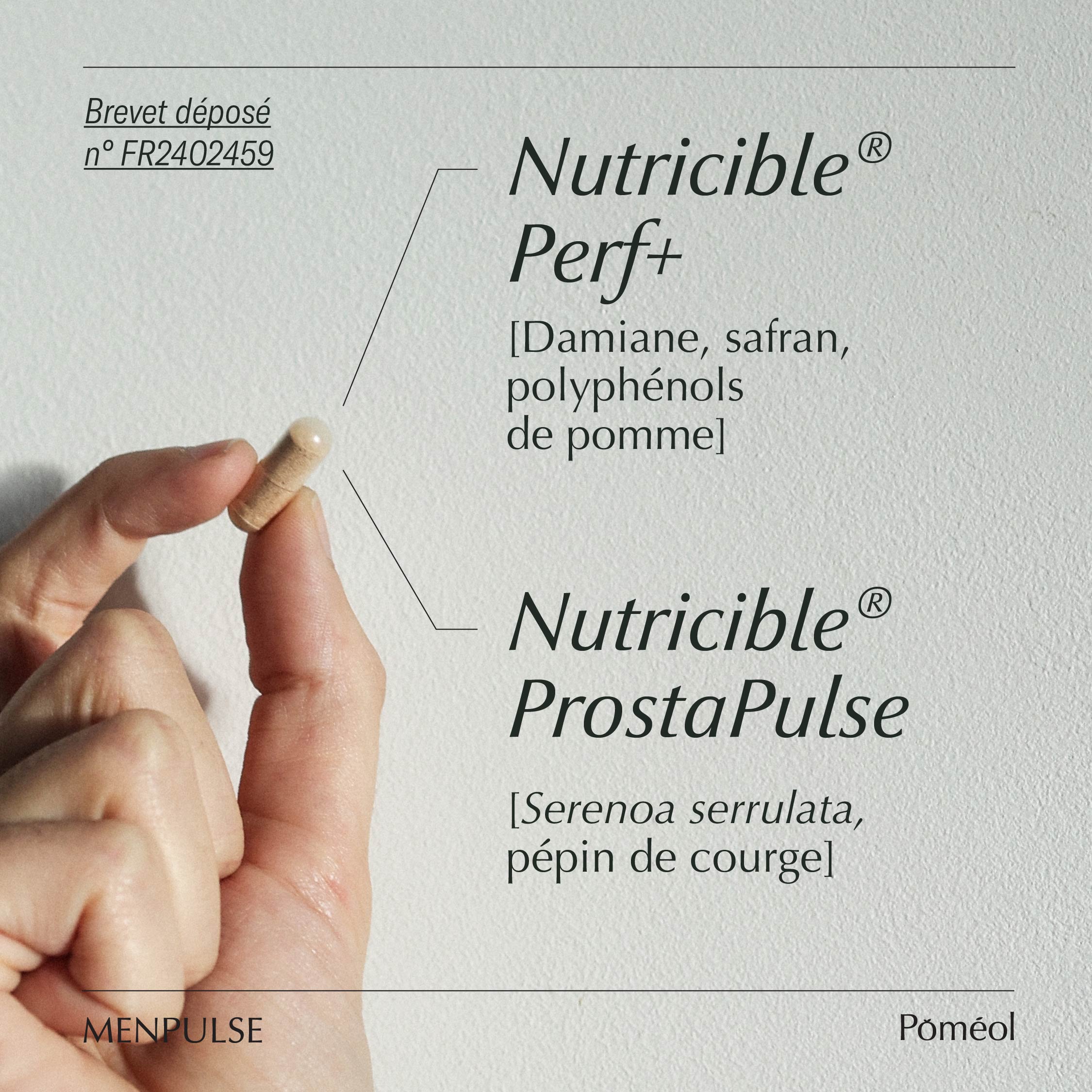 Actifs présents dans le complément alimentaire prostate