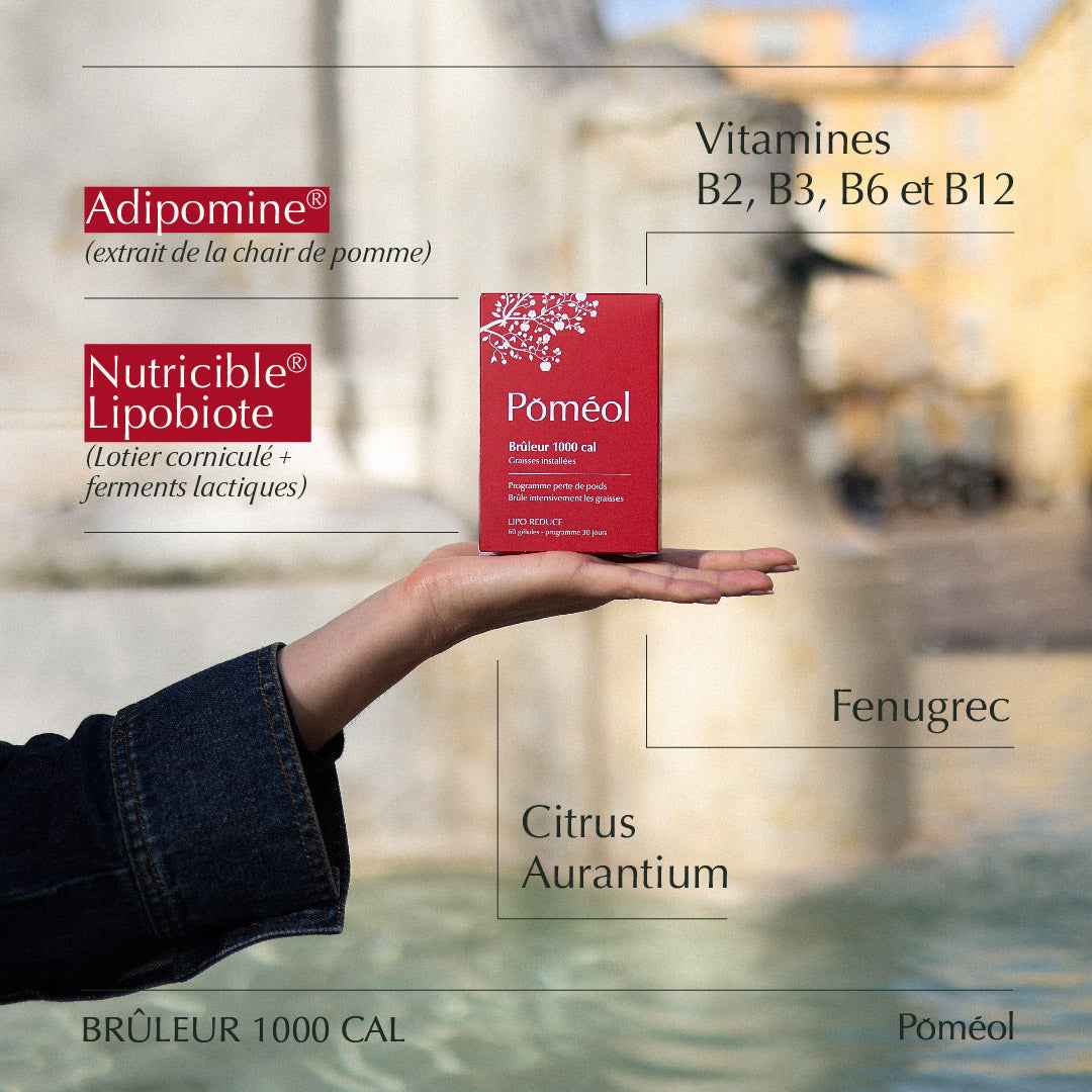 Ingrédients du brûleur