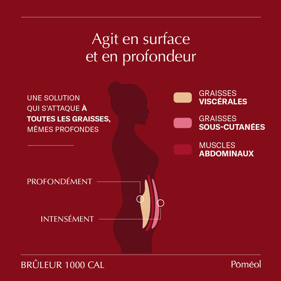 Brûleur de graisse agît en surface et en profondeur