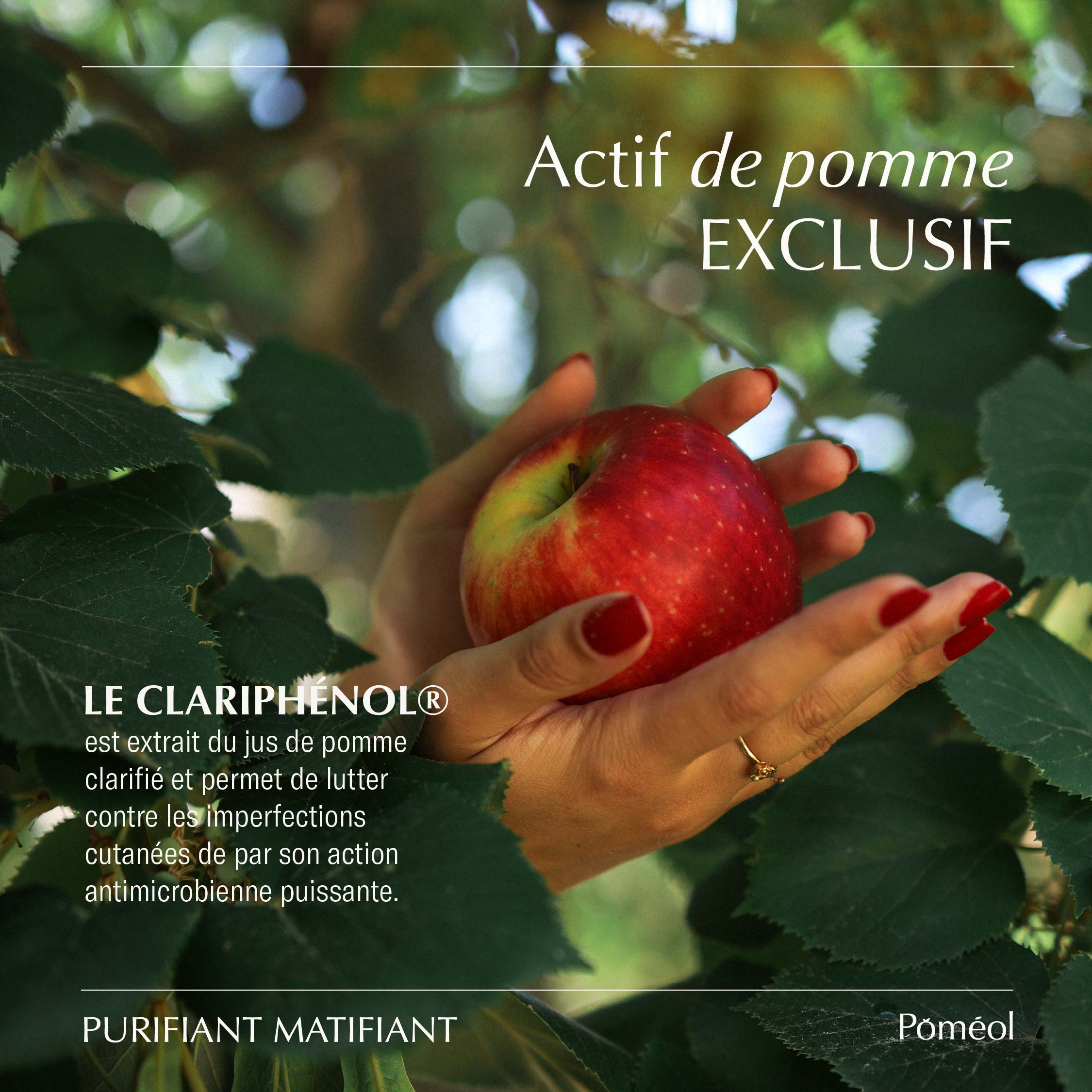Sérum anti-imperfections