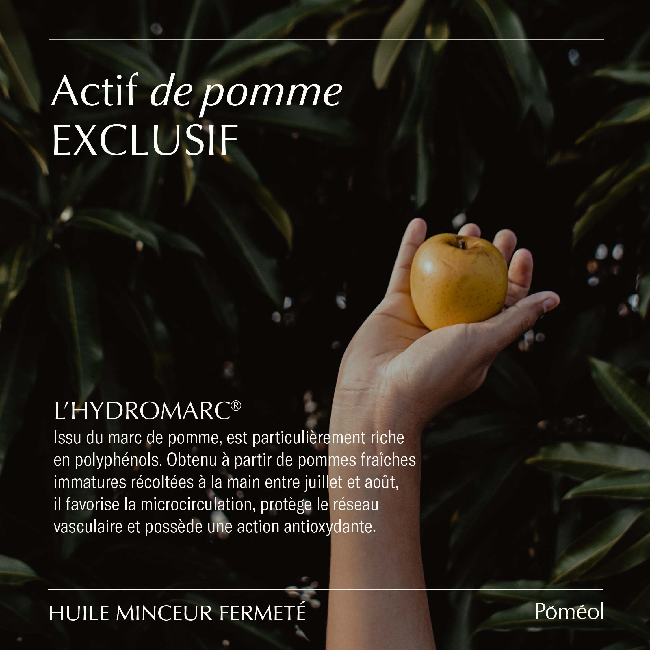 Huile minceur et anti-cellulite