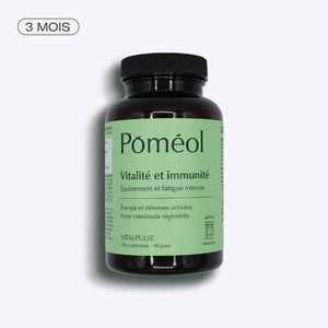 Immunity food supplement