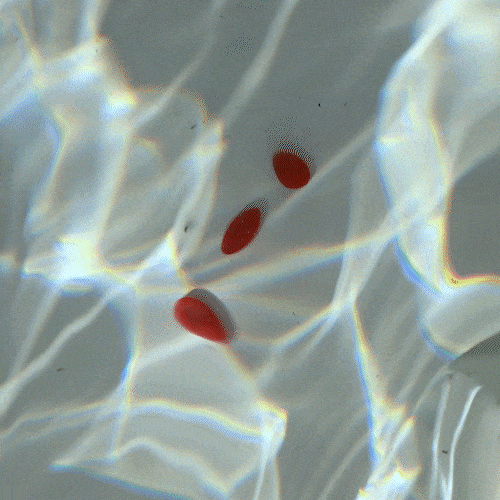 Autobronzant - Complément alimentaire solaire