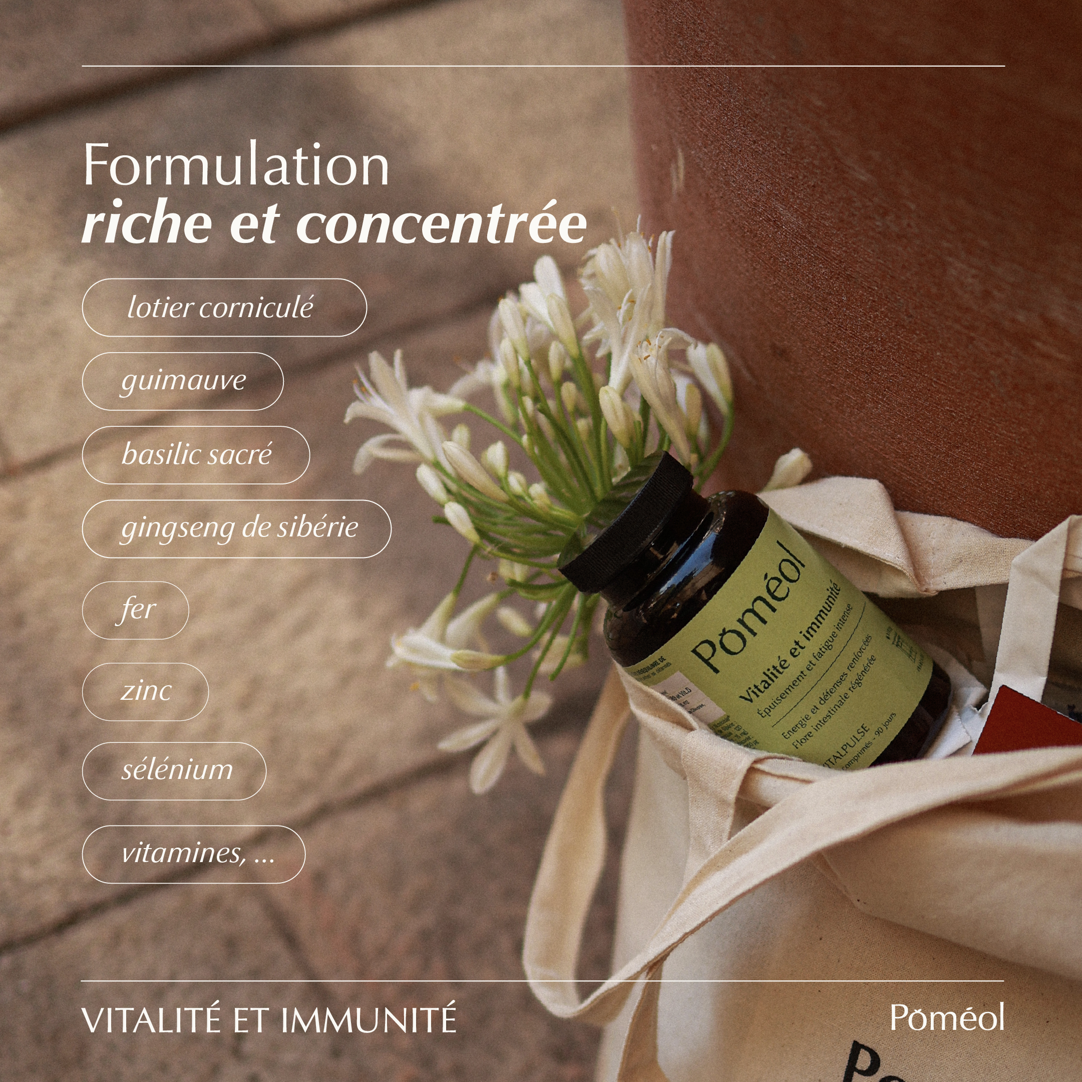 Complément alimentaire immunité