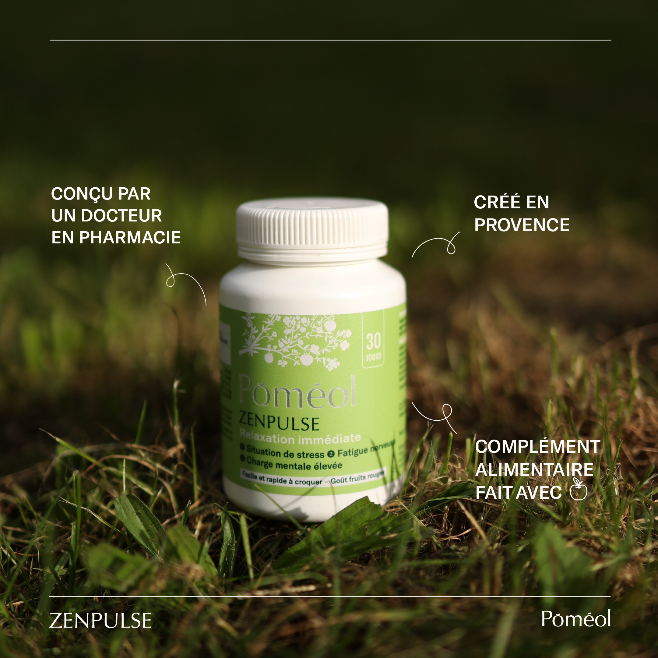Anti-stress food supplement