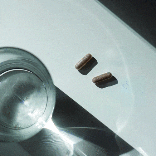 Vidéo de présentation du brûleur de graisse