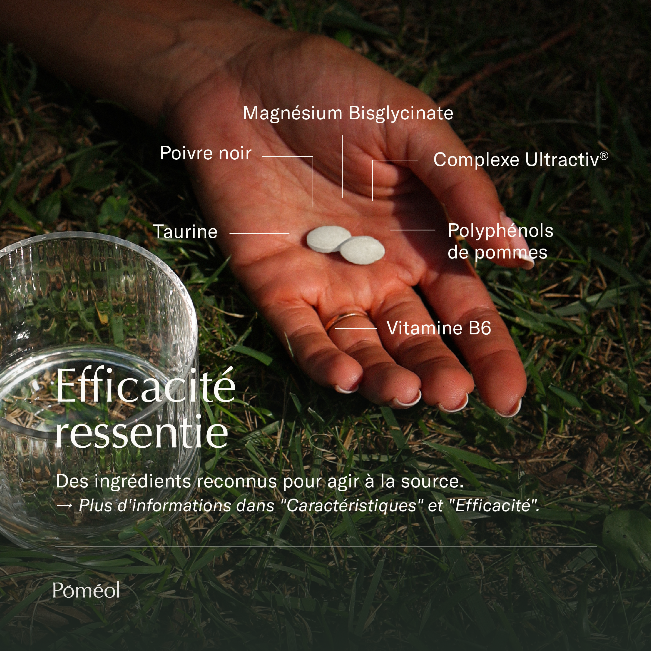 Magnésium Bisglycinate