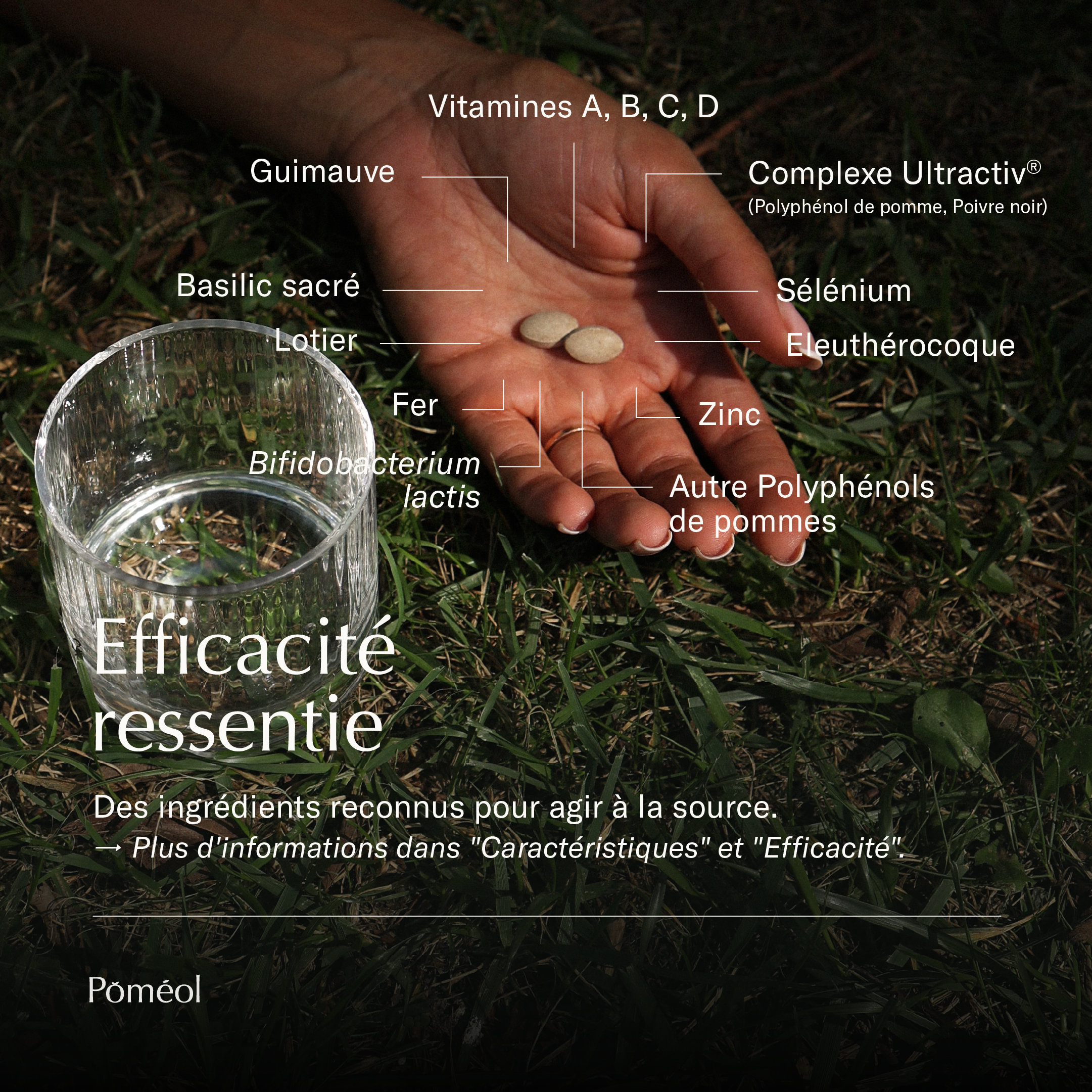 Immunity food supplement