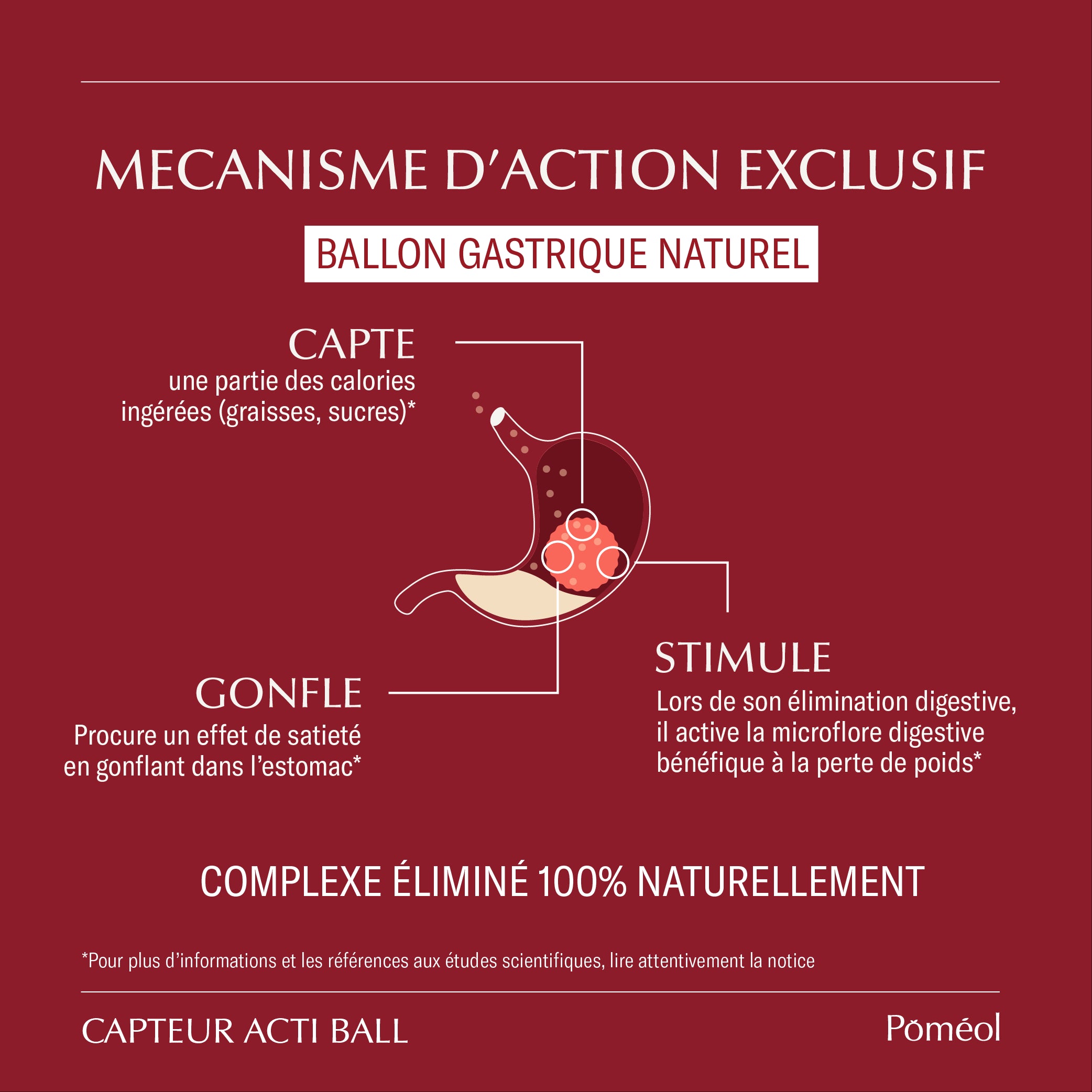 Cure spéciale - Perte de poids renforcée