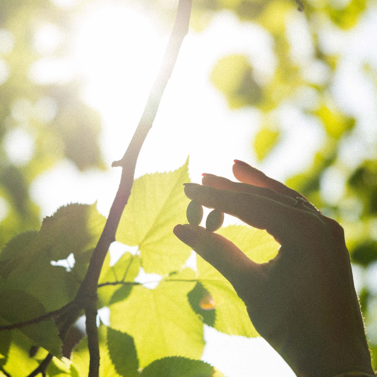 Pourquoi perd-on ses cheveux en vieillissant ?