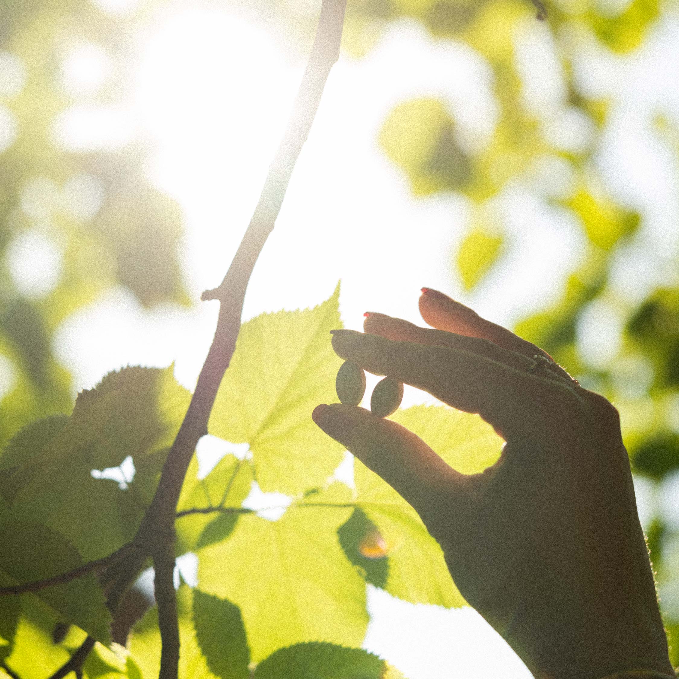 Pourquoi perd-on ses cheveux en vieillissant ?