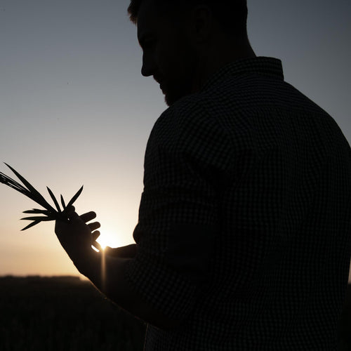 prévenir l’hypertrophie bénigne de la prostate