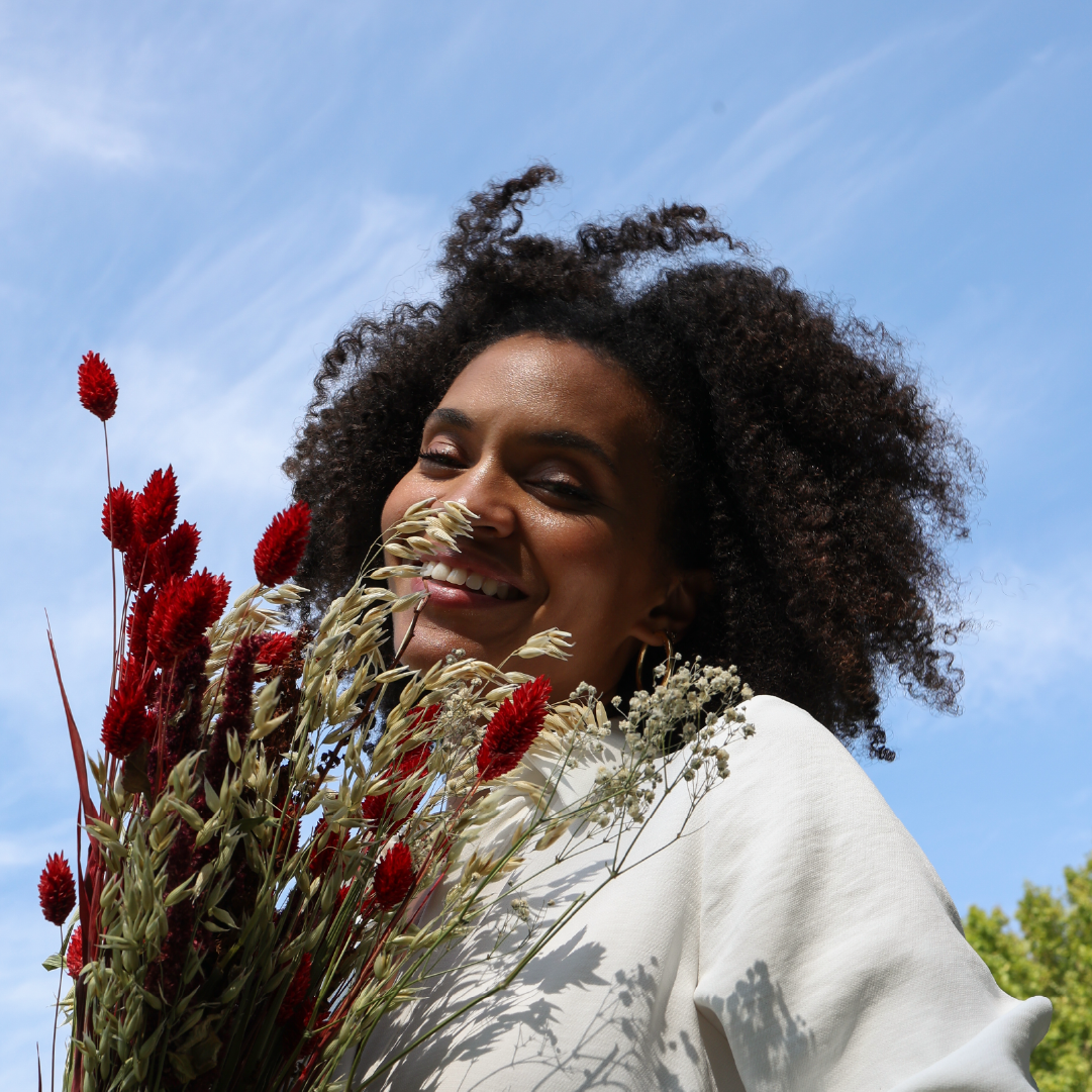 phytothérapie ménopause 