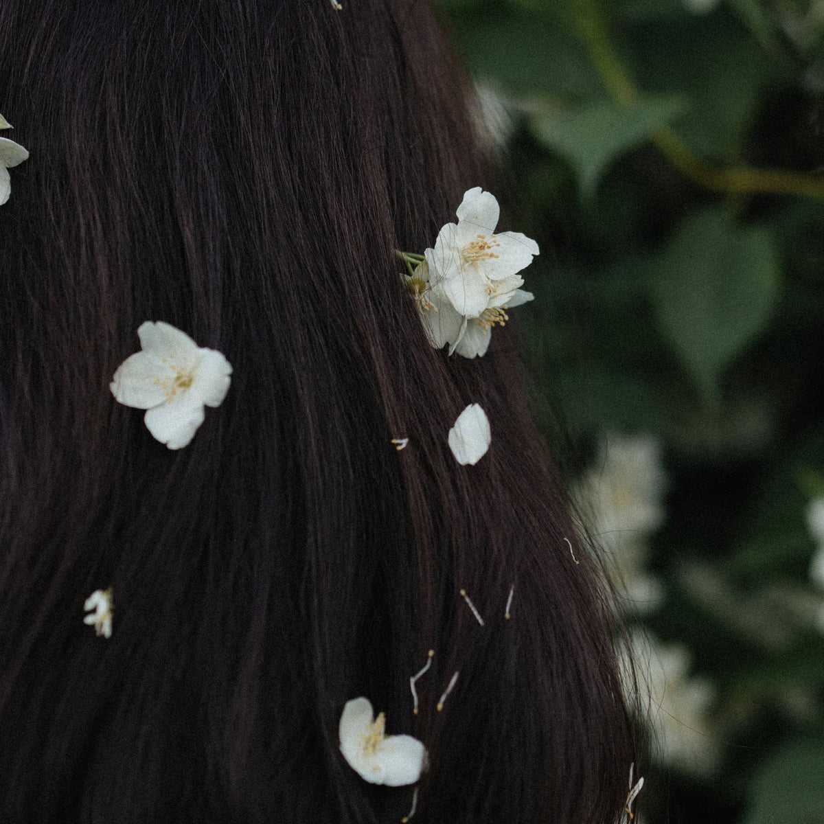 vitamine et complément alimentaire pour les cheveux