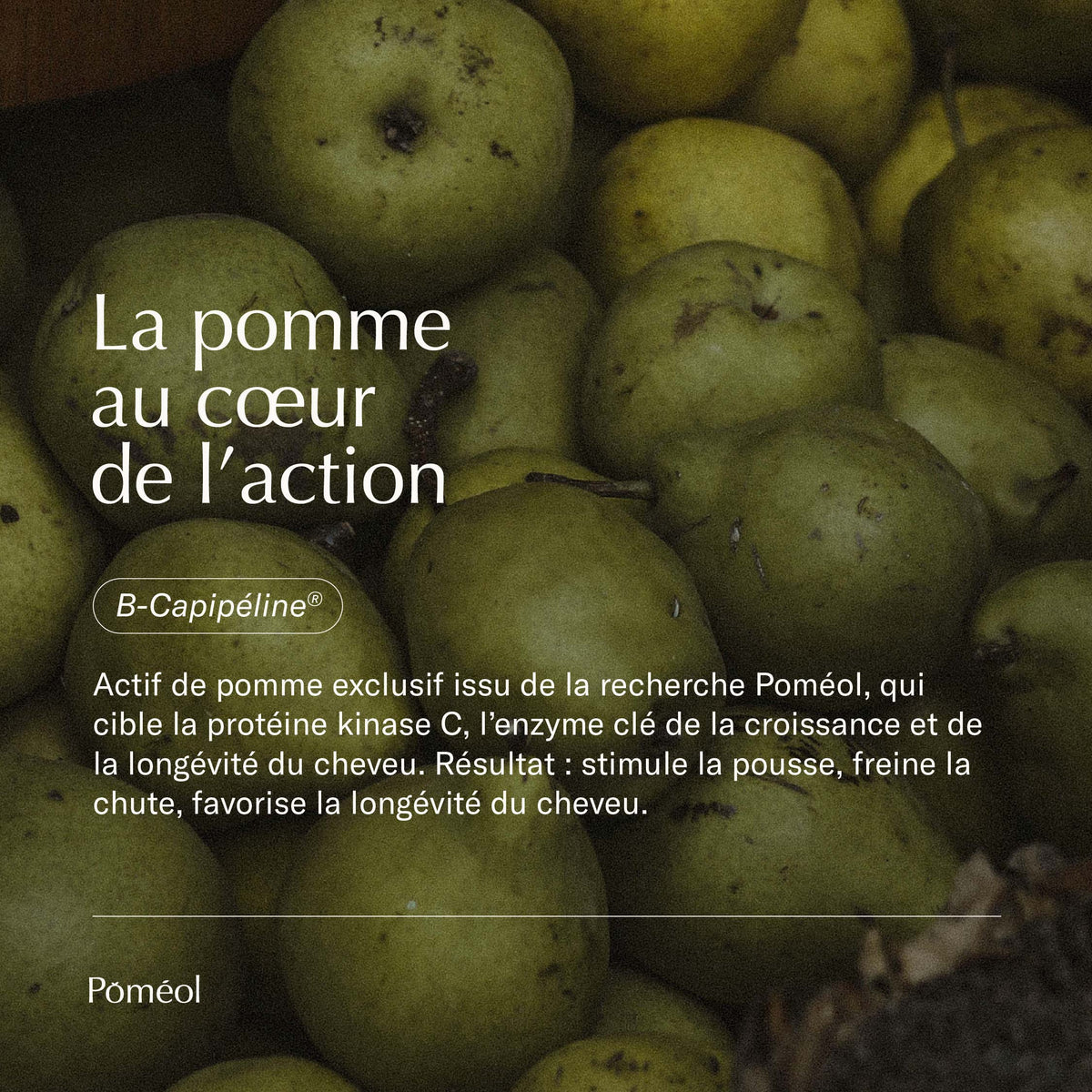 Complément Alimentaire Cheveux - Pousse et Anti-Chute - Poméol