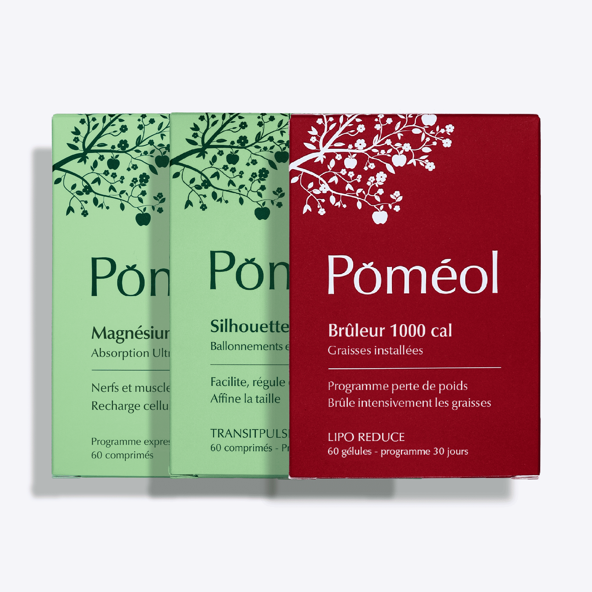 Compléments alimentaires brûleur de graisses, ventre plus plat et énergie