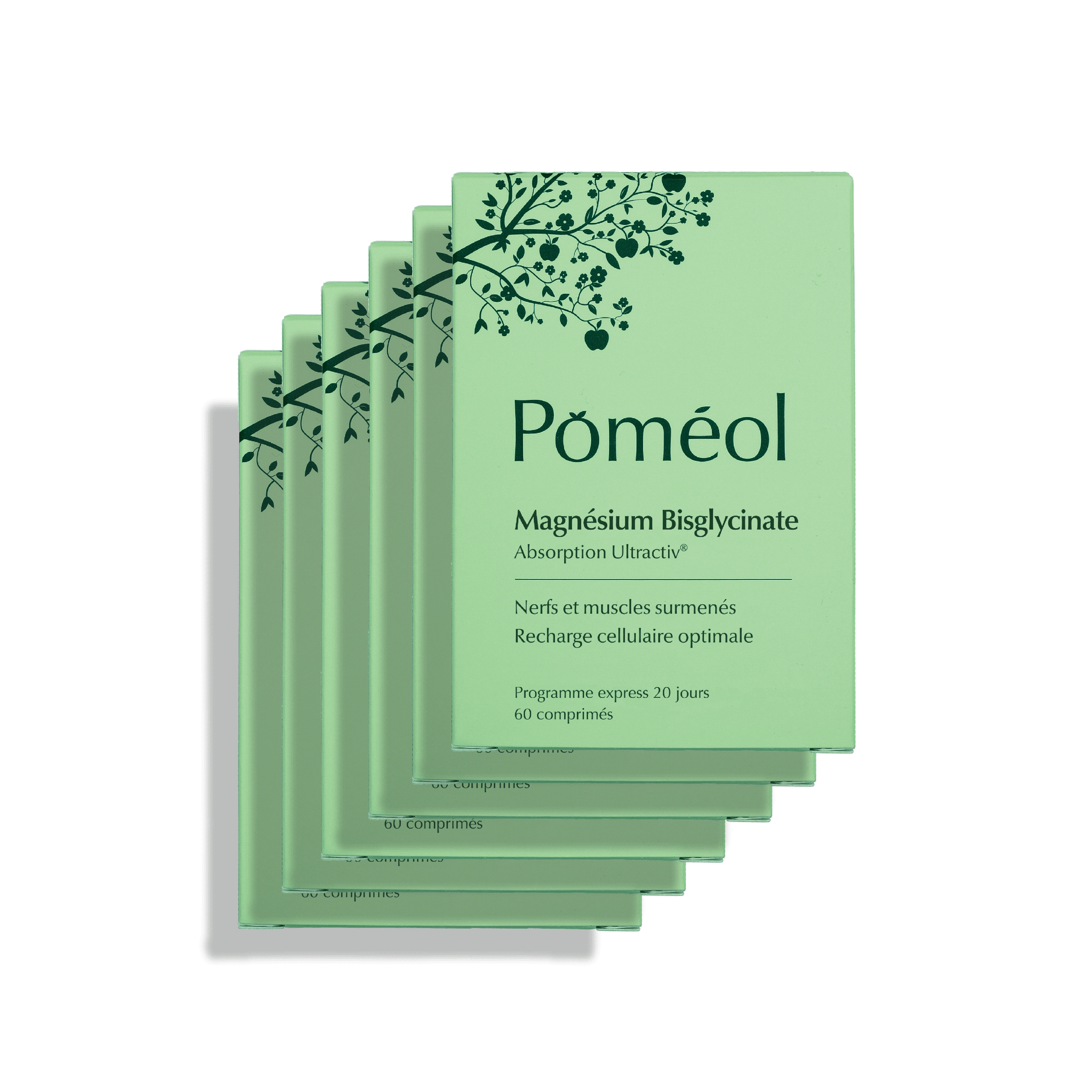 Complément alimentaire magnesium et vitamine B6