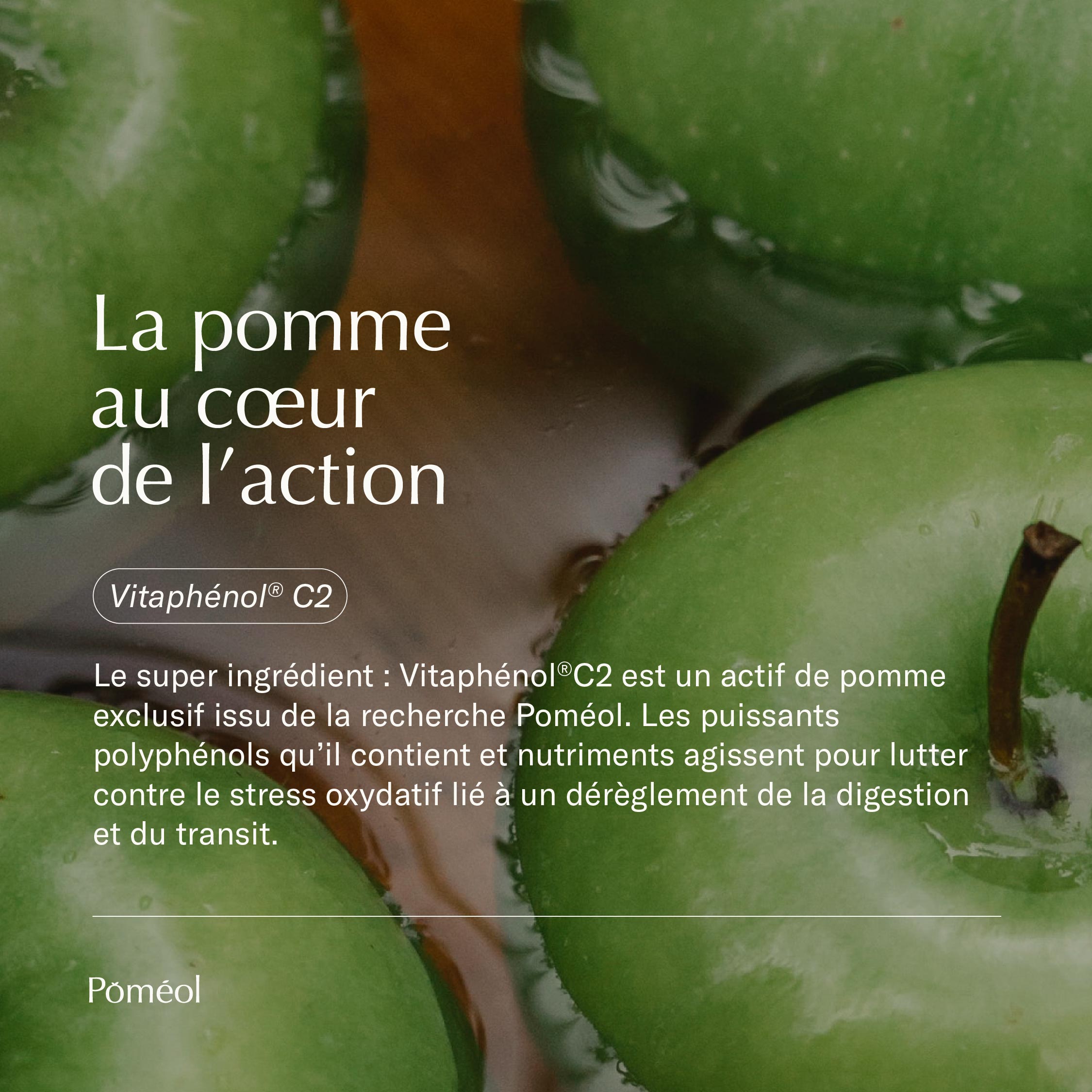Complément alimentaire transit