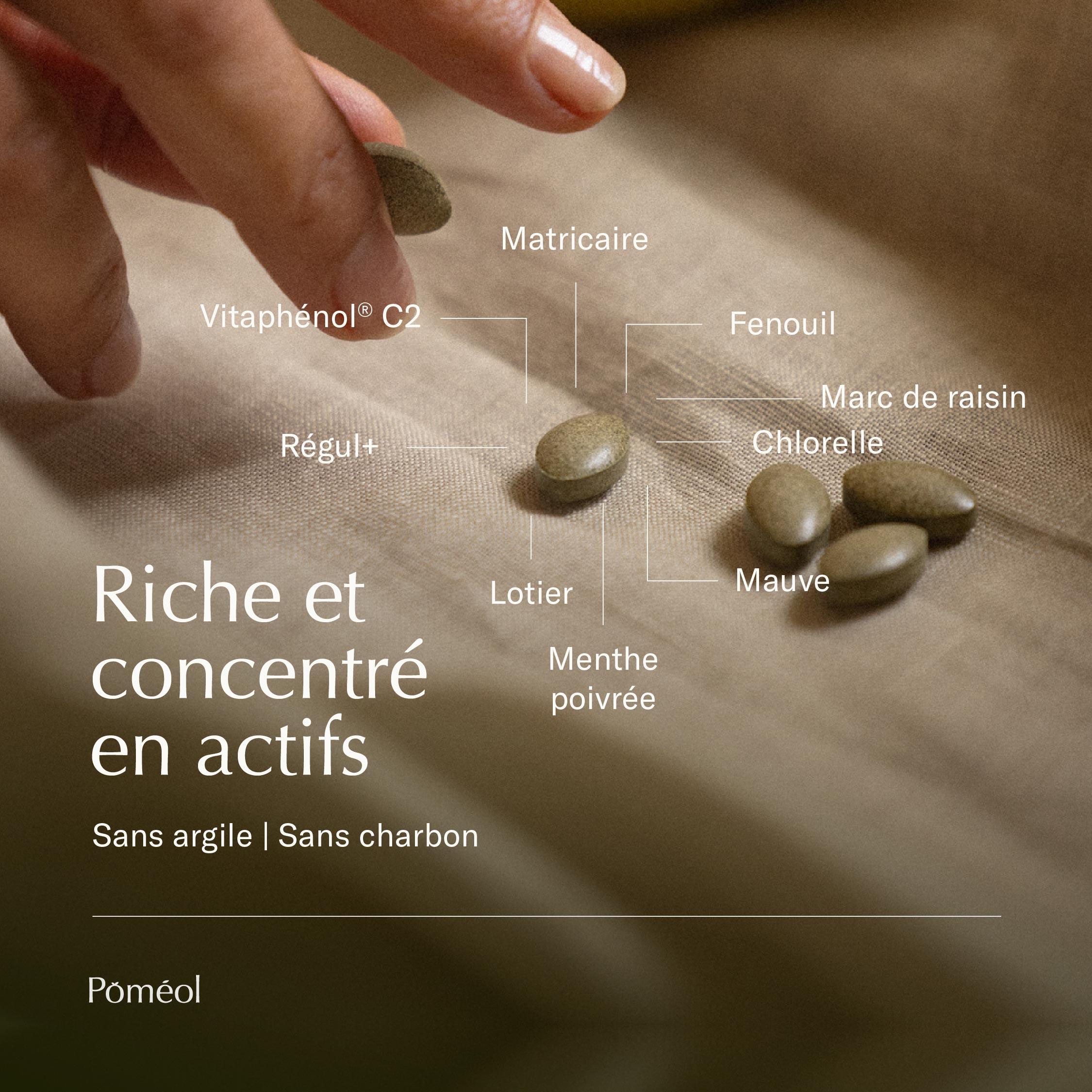 Complément alimentaire transit