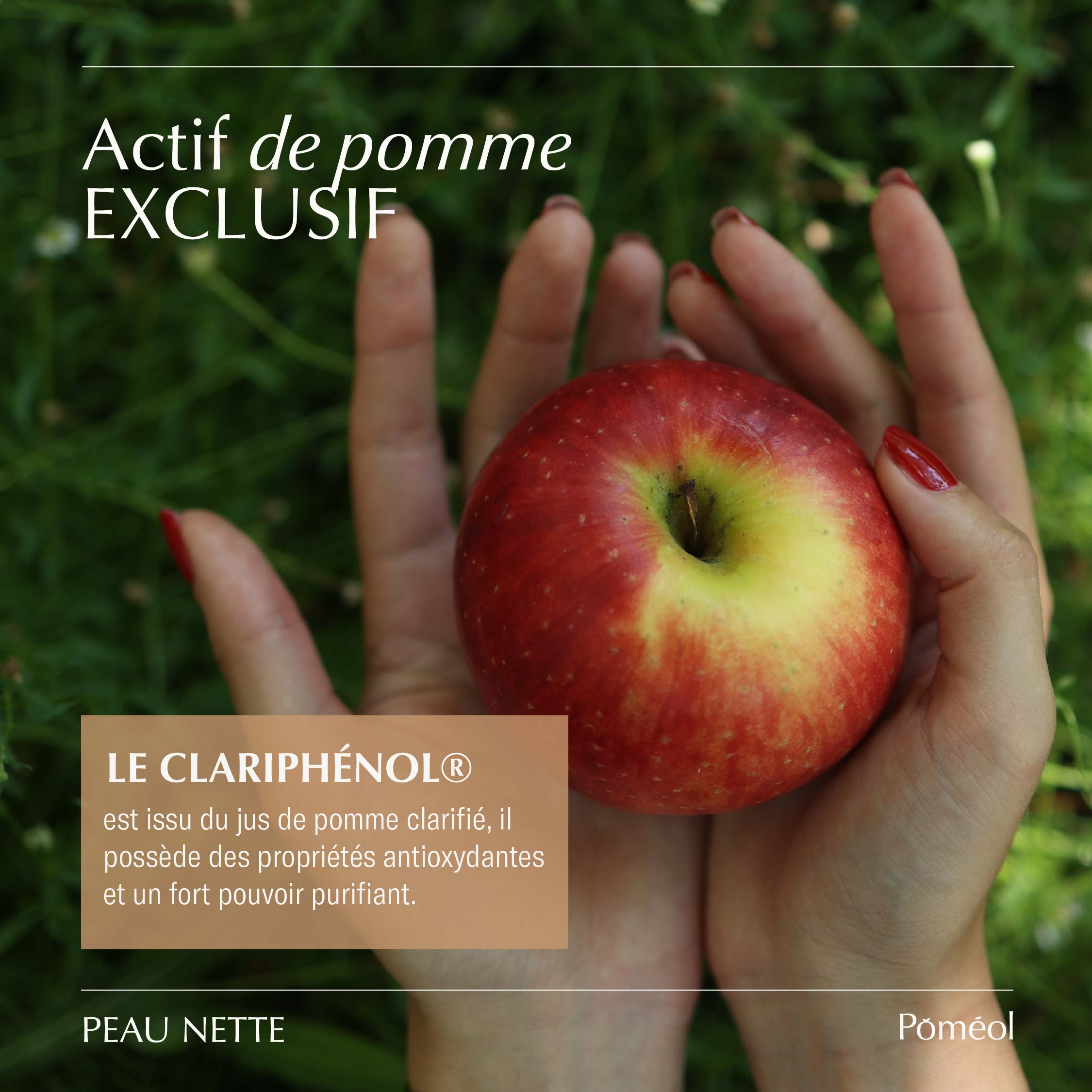 Complément alimentaire anti-imperfections