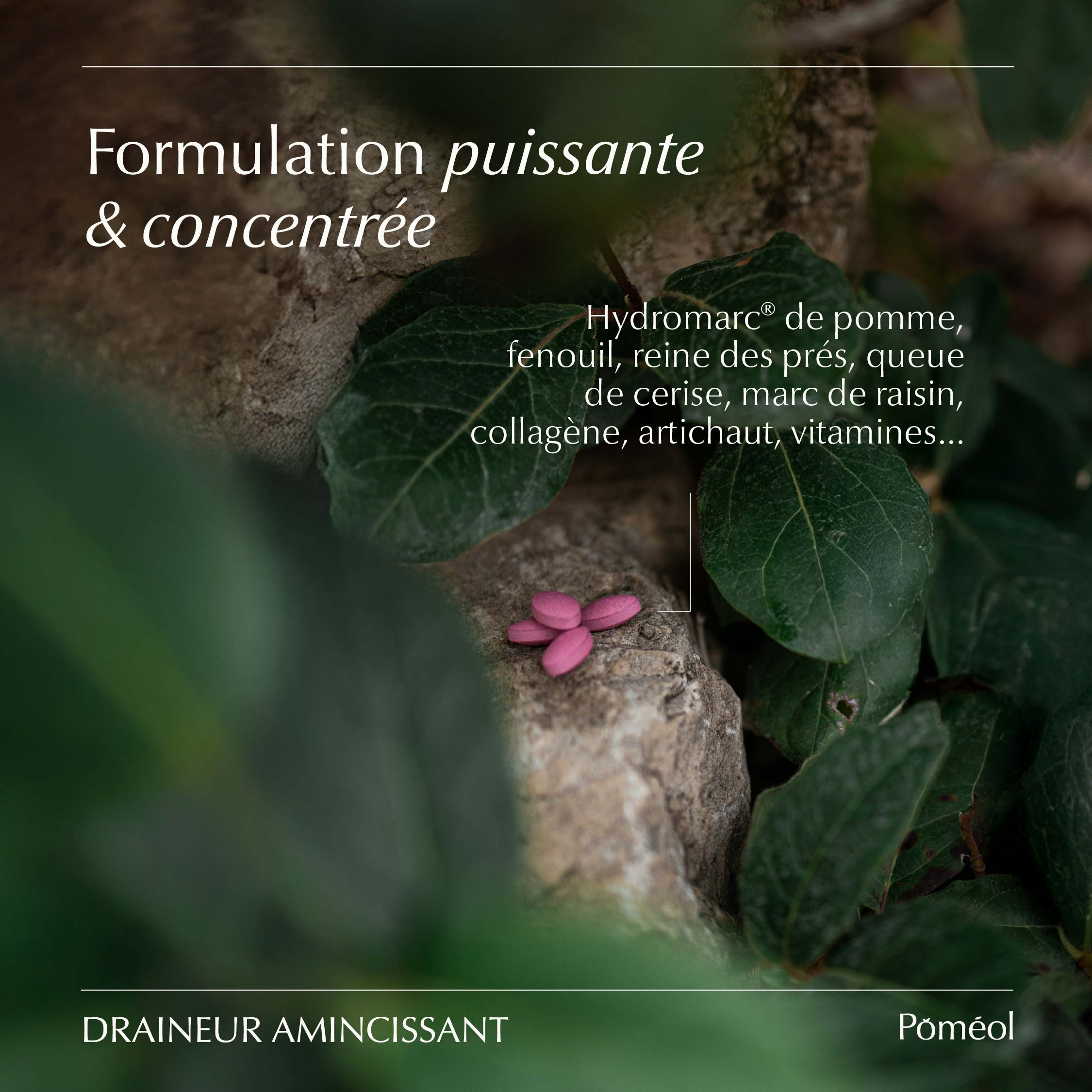 Complément alimentaire rétention d'eau - draineur amincissant