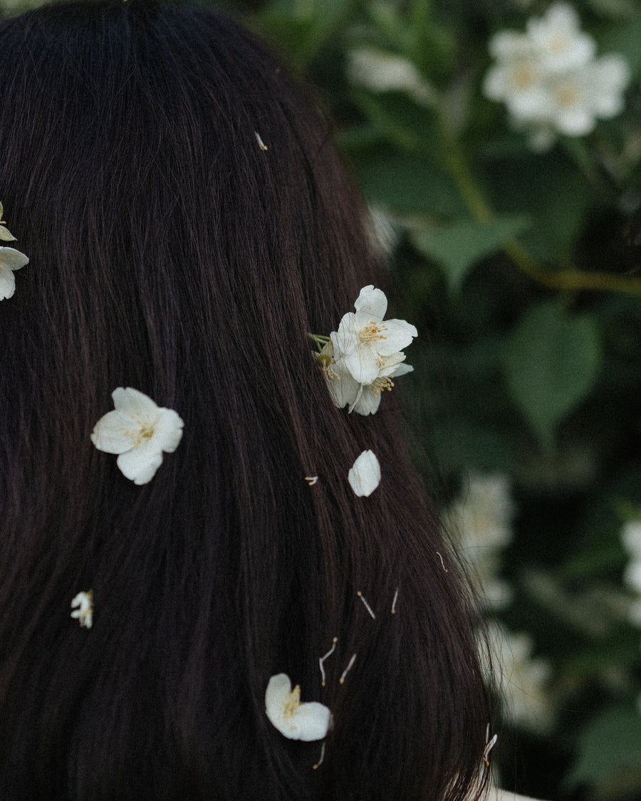 Ce que vos cheveux blancs ne vous disent pas