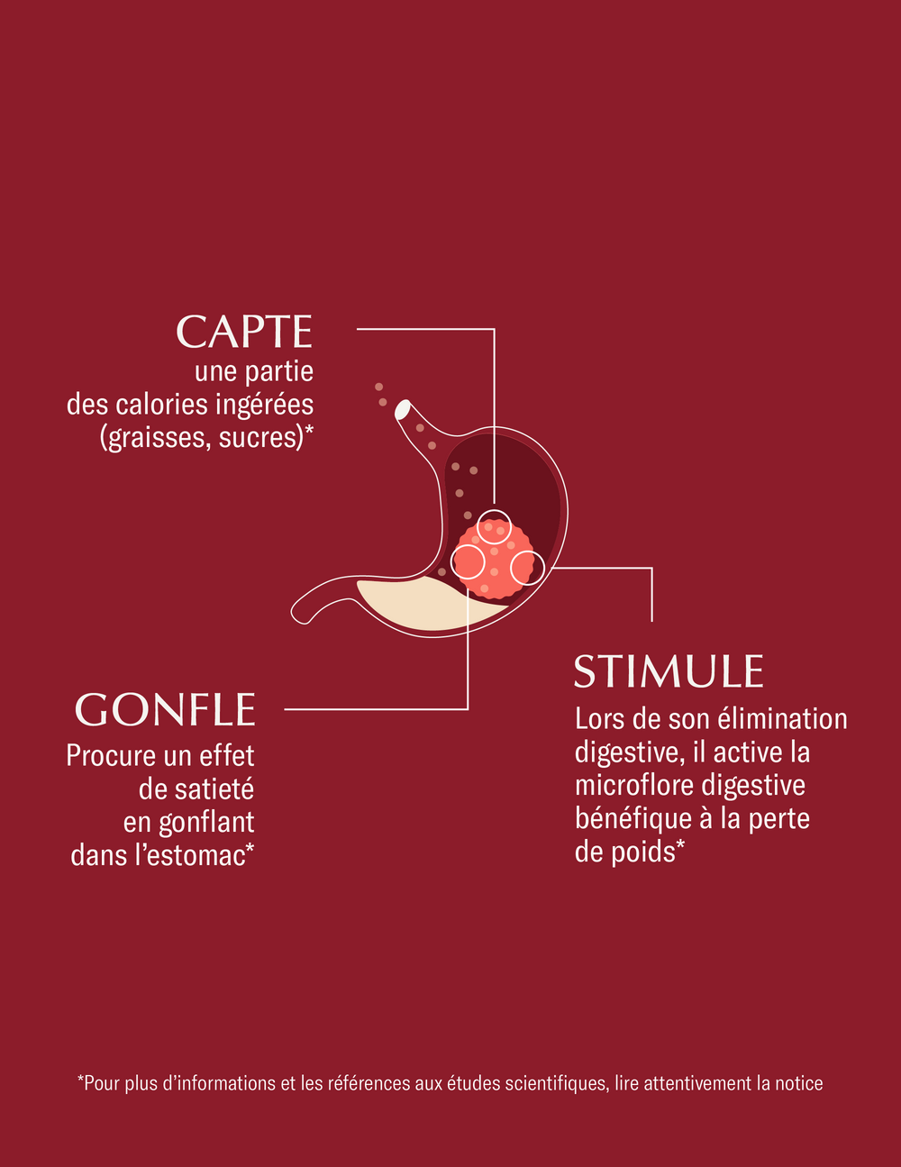 Pourquoi Acti Ball® est-il aussi efficace ?