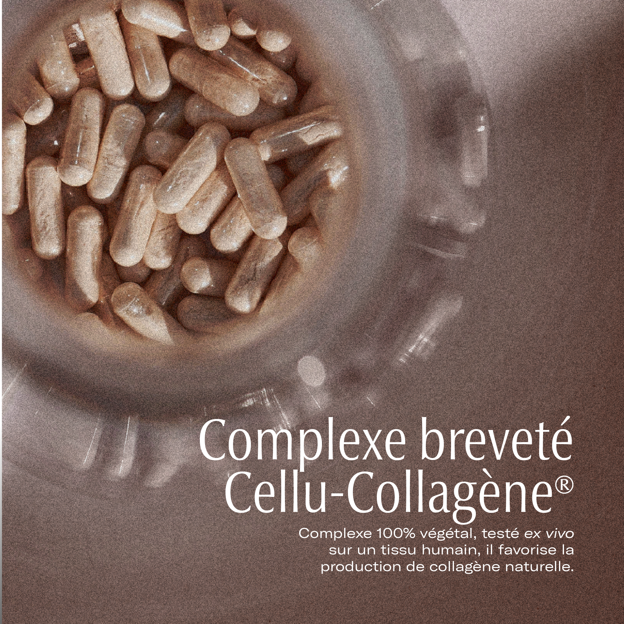 Complément collagène longévité