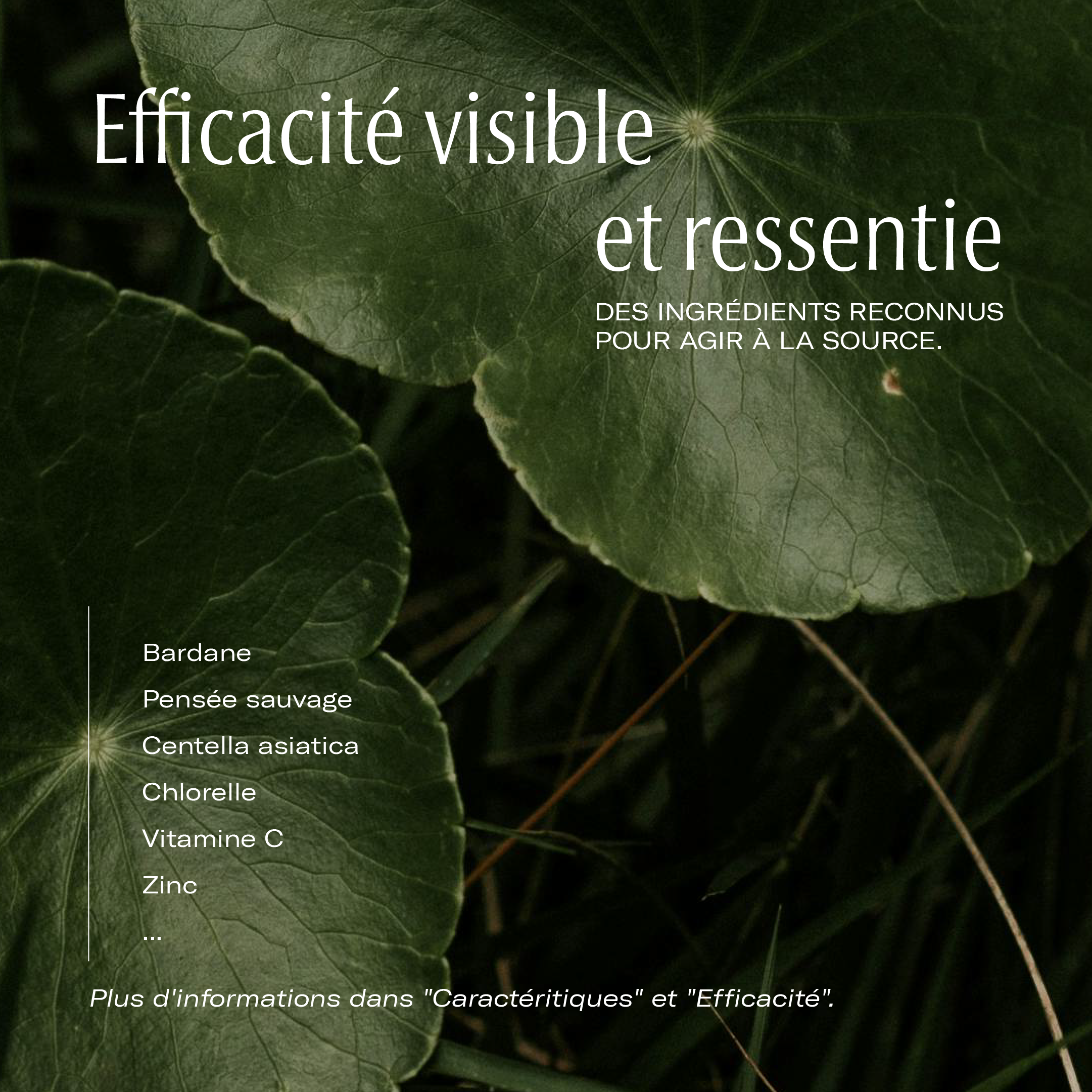 Collagène Peau essentielle