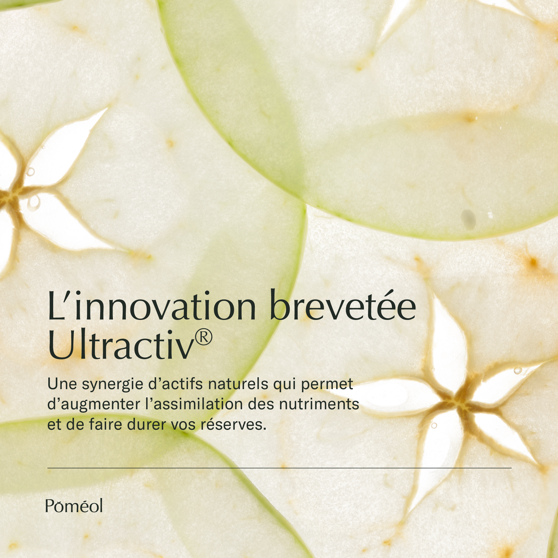 Immunity food supplement